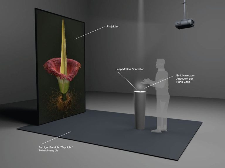 Niklaus Heeb, Alessandro Holler, Jonas Christen, Corps flower (titan arum), 2016, © Knowledge Visualization, ZHdK interactive scientific model